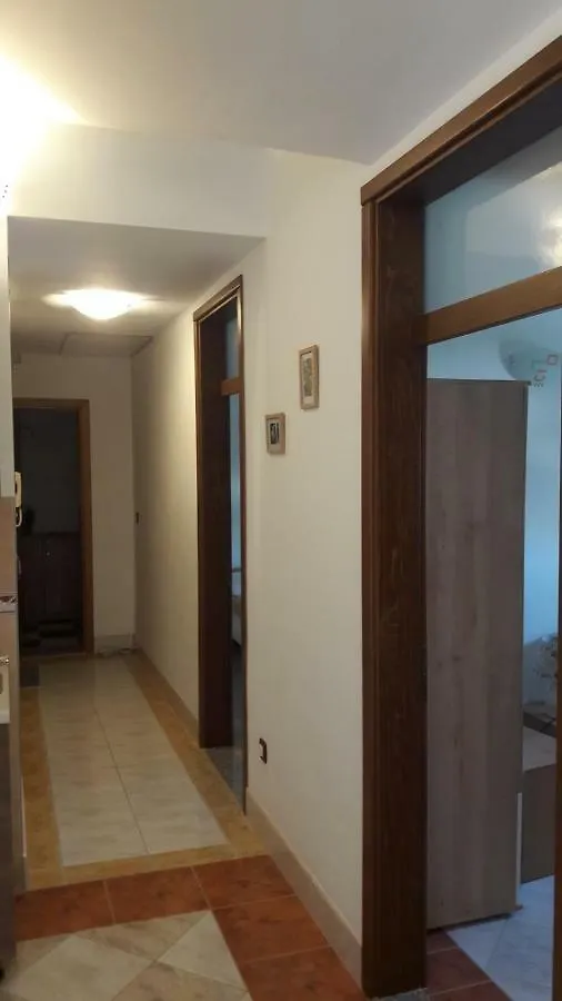 Marina & Luka Apartment Povljana Croatia